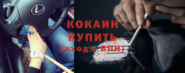 PSILOCYBIN Белокуриха
