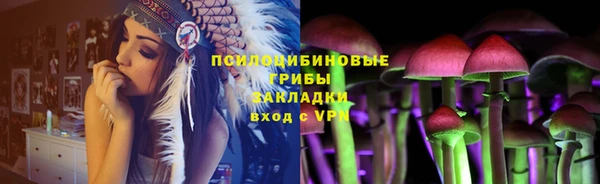 мдпв Беломорск