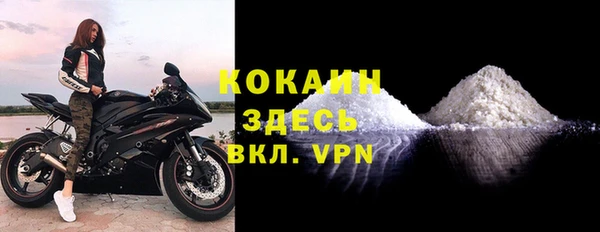 PSILOCYBIN Белокуриха