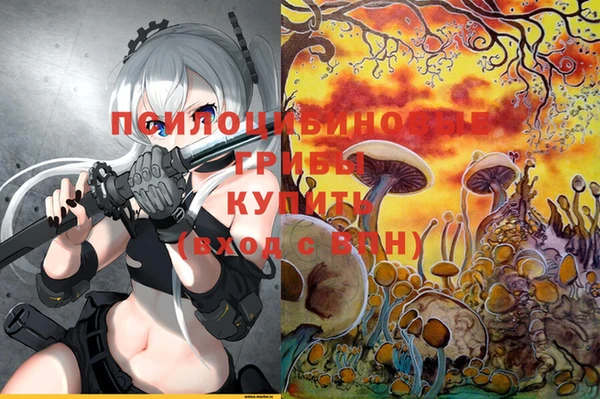 мдпв Беломорск