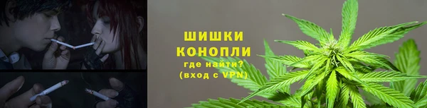PSILOCYBIN Белокуриха