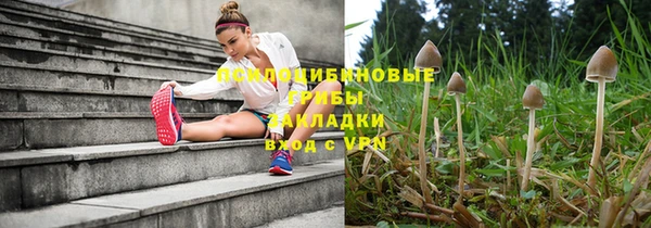 мдпв Беломорск