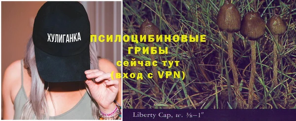 дмт Белоозёрский