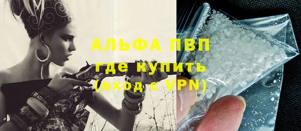 PSILOCYBIN Белокуриха