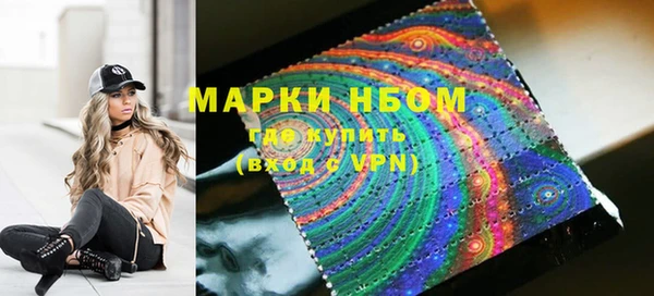 PSILOCYBIN Белокуриха