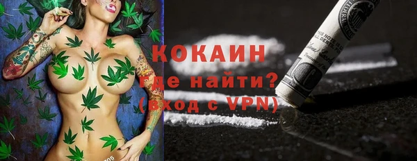 сатива Баксан