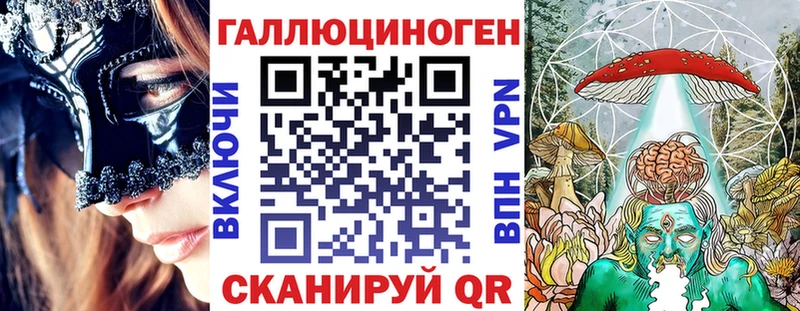 хочу   Красноярск  omg ТОР  Галлюциногенные грибы Cubensis 